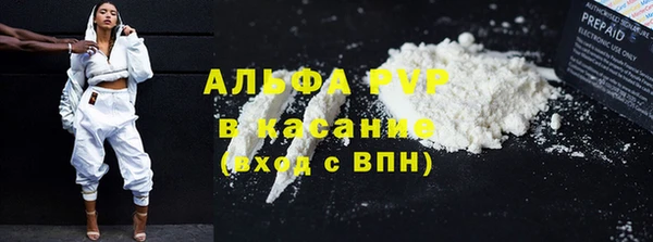 стаф Верея